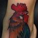 Tattoos - rooster cock color foot tattoo  - 72947